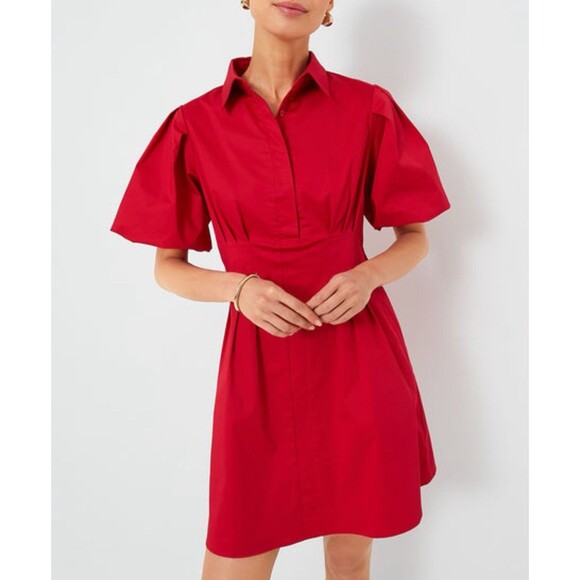 NWT Tuckernuck  Delaney Size L Red Mini Dress Puff Sleeve A-line Pockets Stretch - Picture 14 of 14